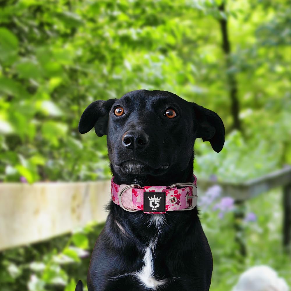 TSPRO collar camuflaje rosado para estilo y seguridad en exteriores.