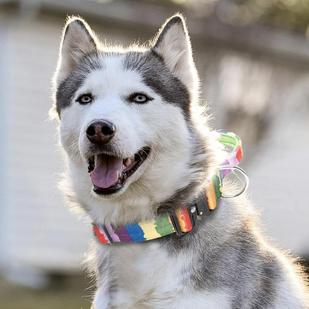 Collar TSPRO con control en paseos diarios para perros activos.