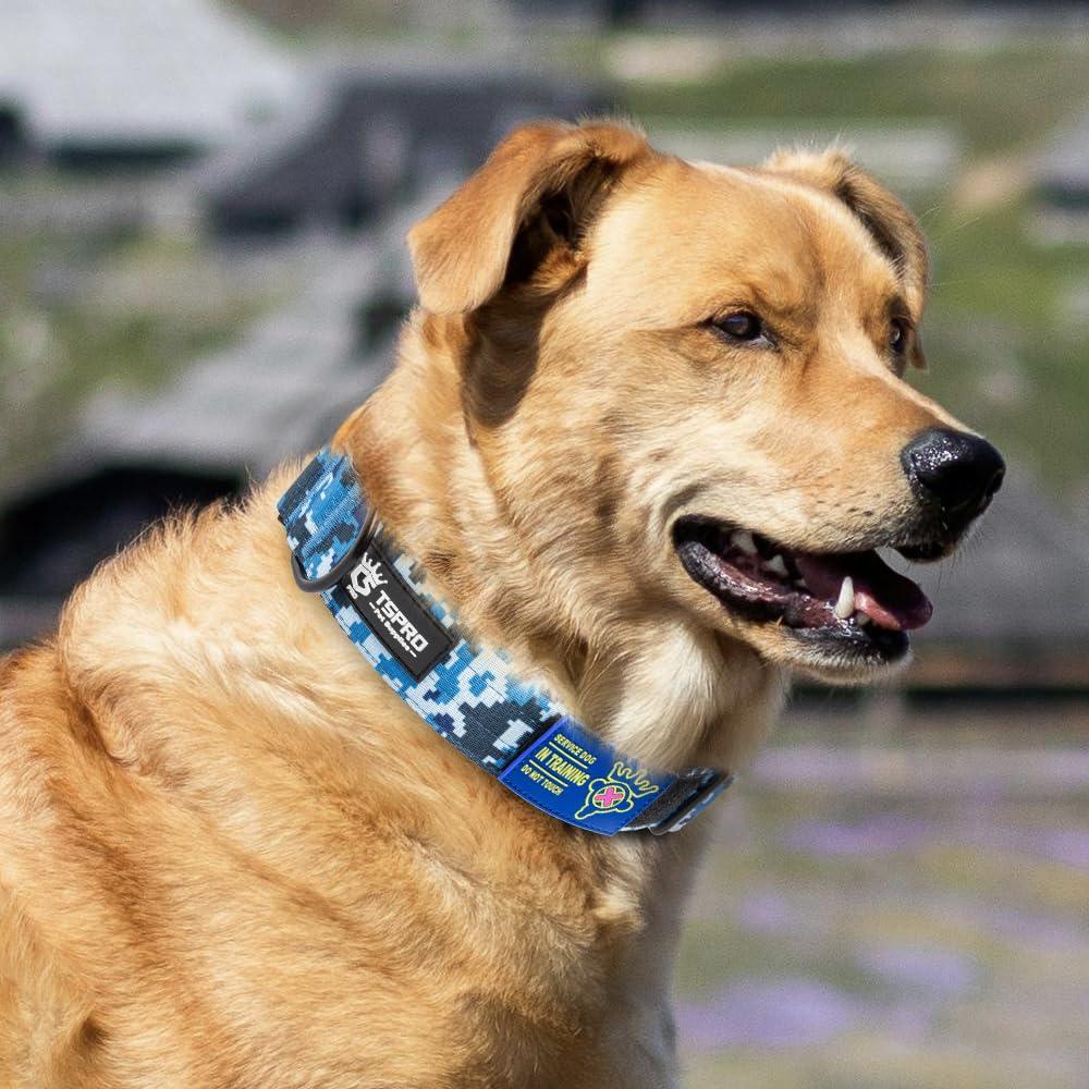 TSPRO collar camuflaje azul, duradero y cómodo para aventuras al aire libre