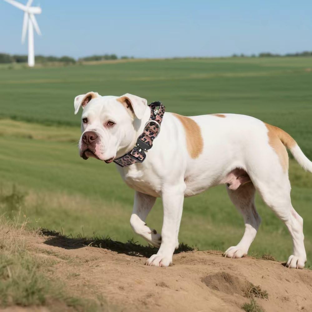 TSPRO diseño leopardo del collar para estilo y funcionalidad