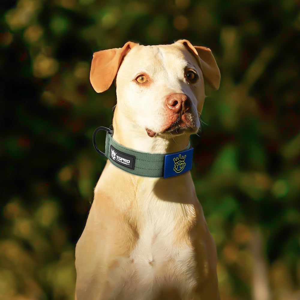 Collar TSPRO verde con tallas M y L, adecuado para razas grandes