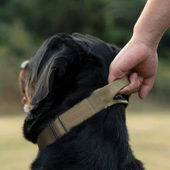 Collar TSPRO con cierre rápido para colocar y quitar con facilidad.