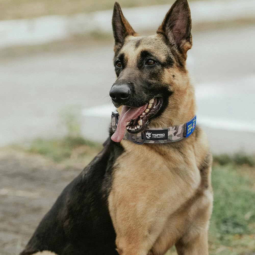 Collar TSPRO para uso externo y aventuras al aire libre