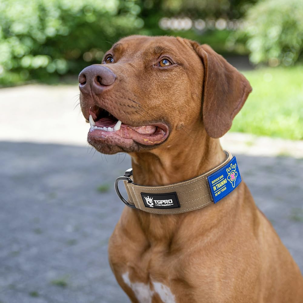 TSPRO collar resistente para actividades al aire libre y juego activo.