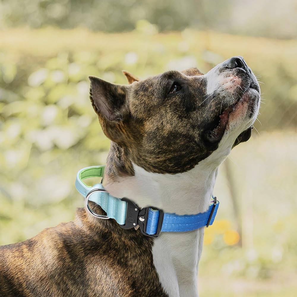 TSPRO collar táctico con ajuste cómodo para perros medianos y grandes.
