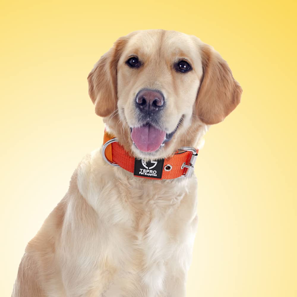 TSPRO collar para exteriores, ideal para caminatas y actividades al aire libre.
