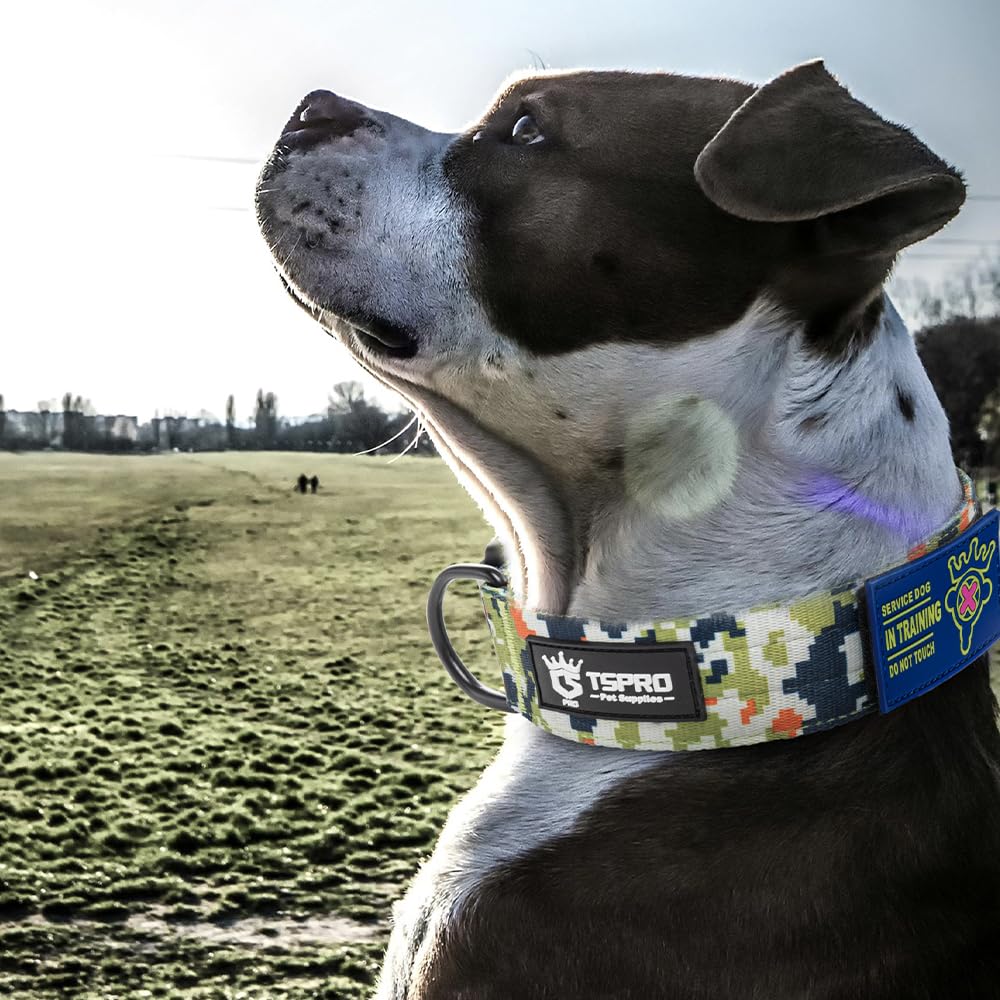 TSPRO collar ajustable para perros medianos y grandes en paseos y entrenamiento