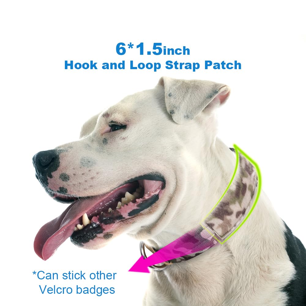 TSPRO collar táctico con aro en D y hebilla doble para mayor seguridad