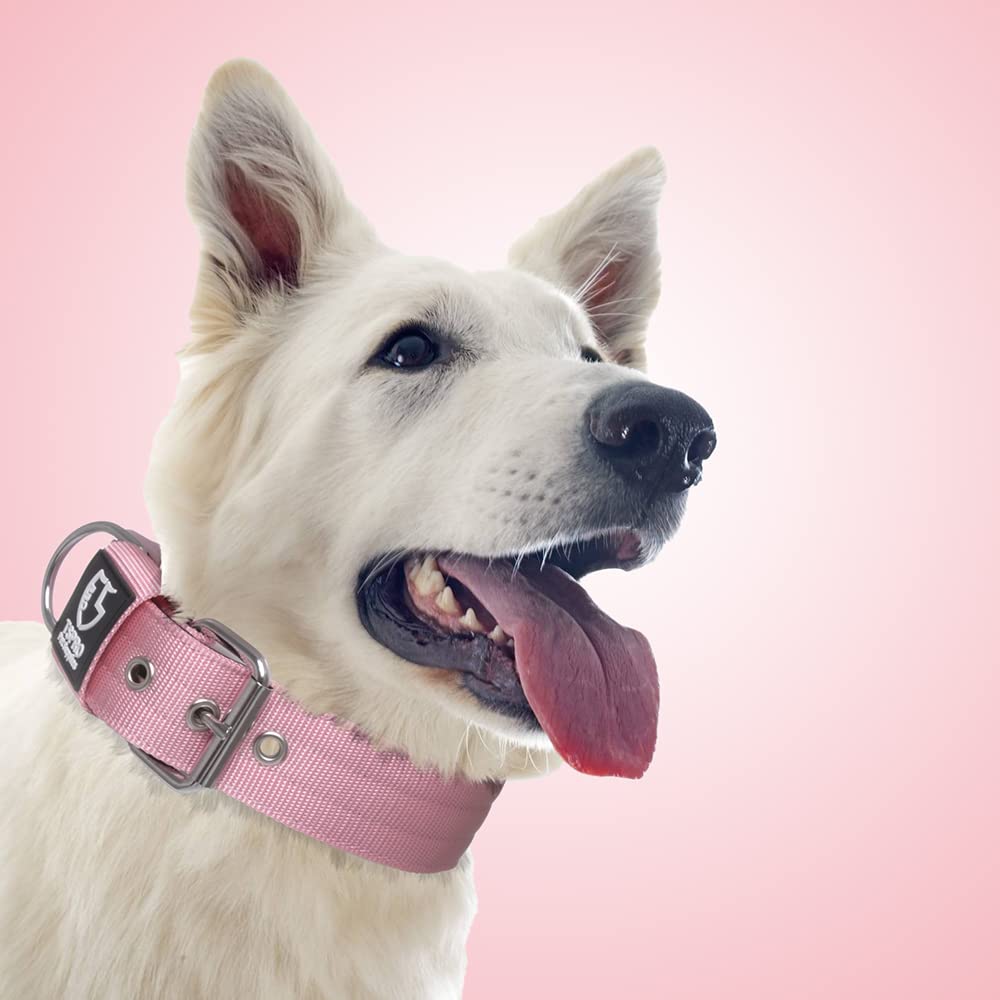 Collar TSPRO rosa para perros activos, ideal para caminatas y aventuras.