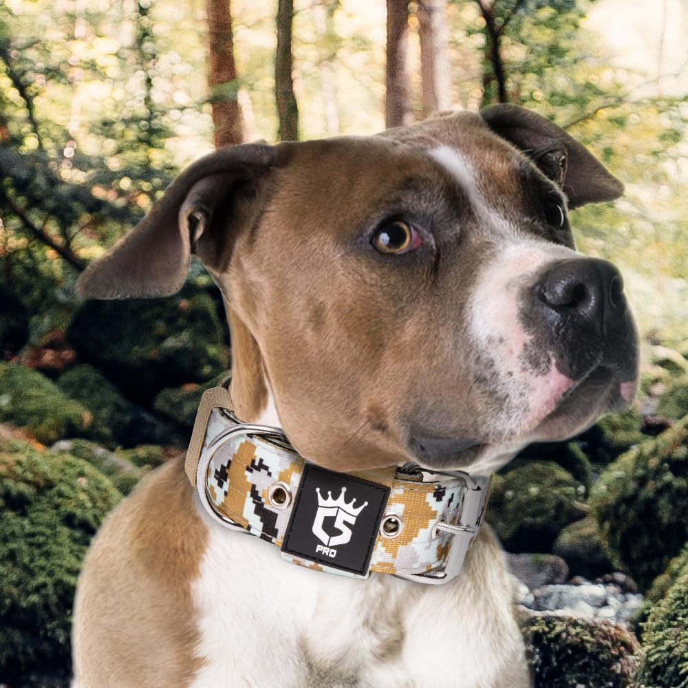 Collar para uso diario y aventuras, adecuado para razas grandes.