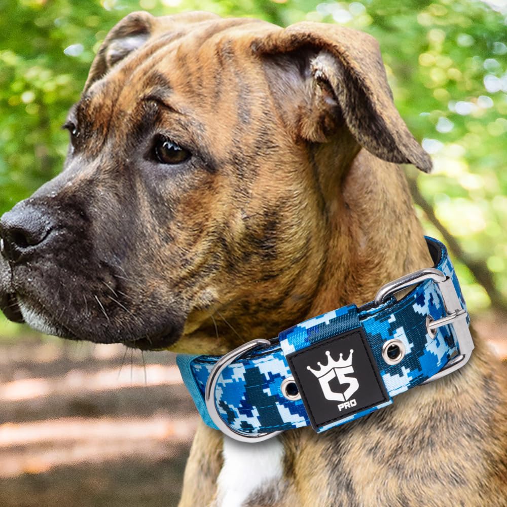Collar táctico TSPRO en acción durante aventuras al aire libre.