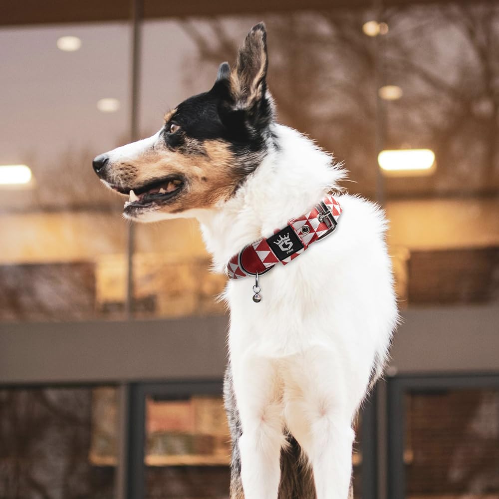 Collar TSPRO para exteriores y entrenamientos de perros activos