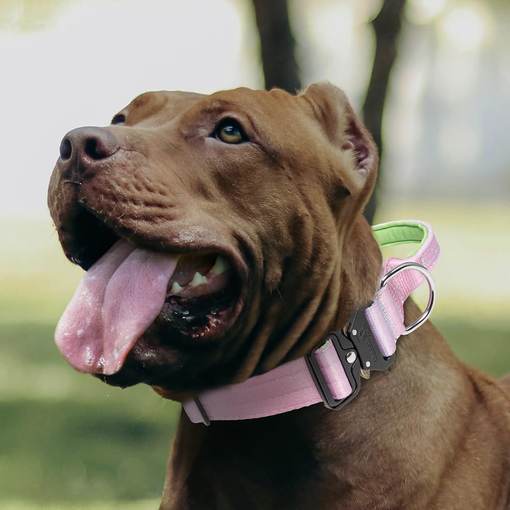 TSPRO collar táctico ideal para paseos y entrenamientos al aire libre.