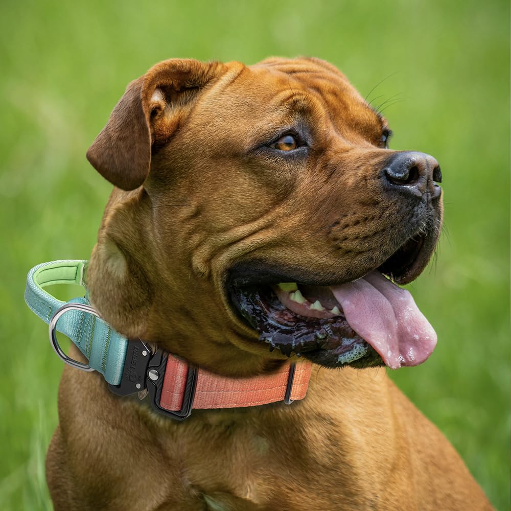 TSPRO collar para uso exterior, resistente y cómodo en senderismo y paseos.