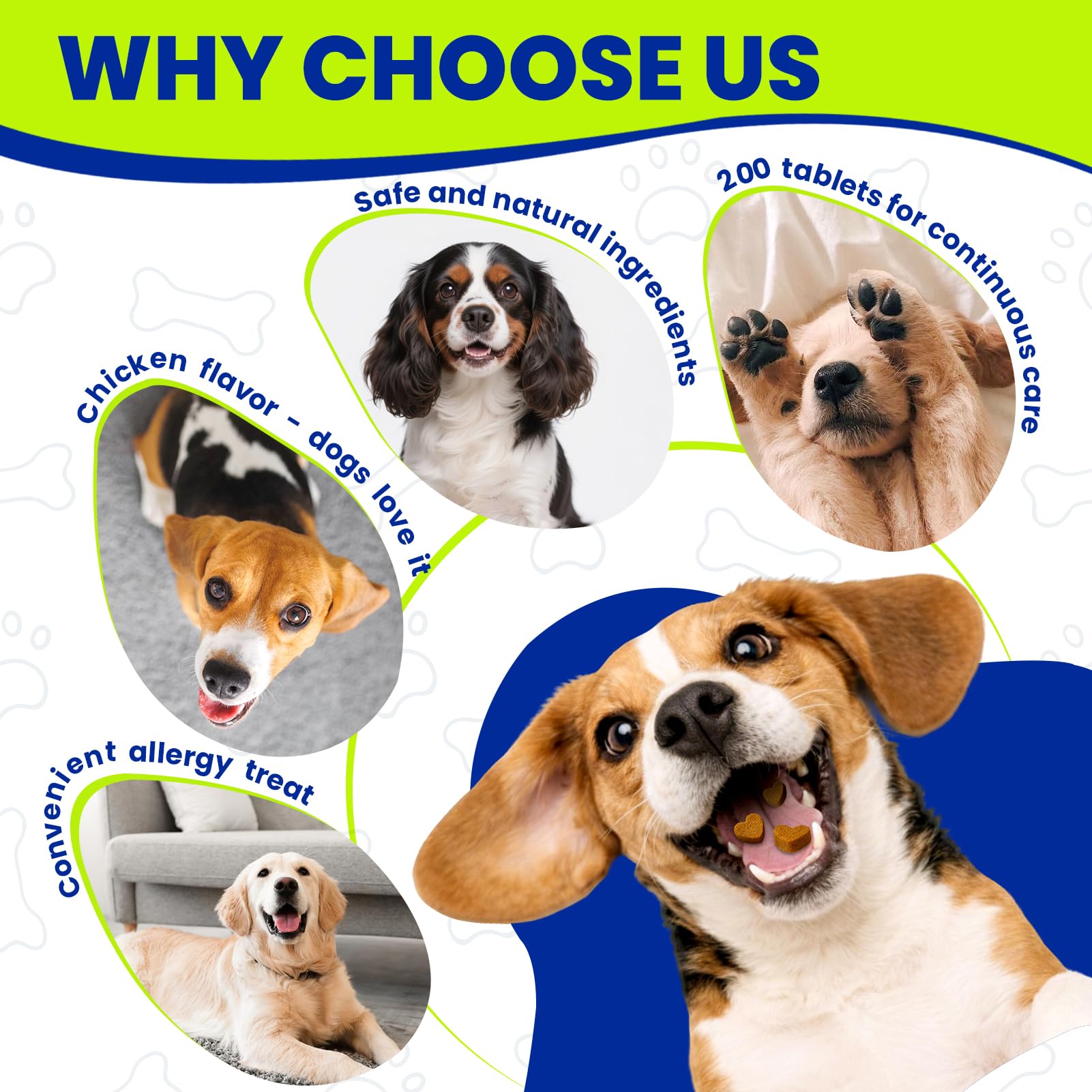TTLXBL Probióticos para digestión de perros: soporte intestinal diario.
