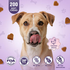 TTLXRL suplemento articular con condroitina y MSM para perros.