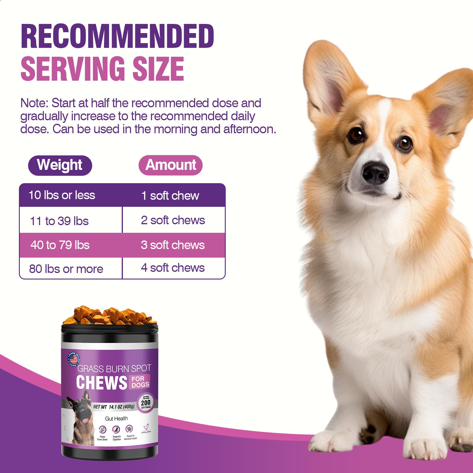 TTLXRL perro-disfruta-sabor-pollo: perro contento con cada bocado
