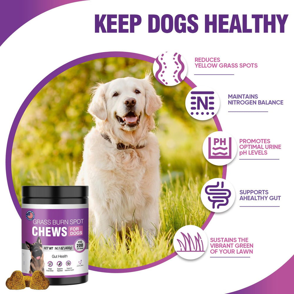 TTLXRL sabor-pollo-natural: sabor agradable para perros exigentes