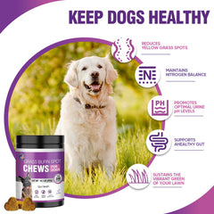TTLXRL sabor-pollo-natural: sabor agradable para perros exigentes