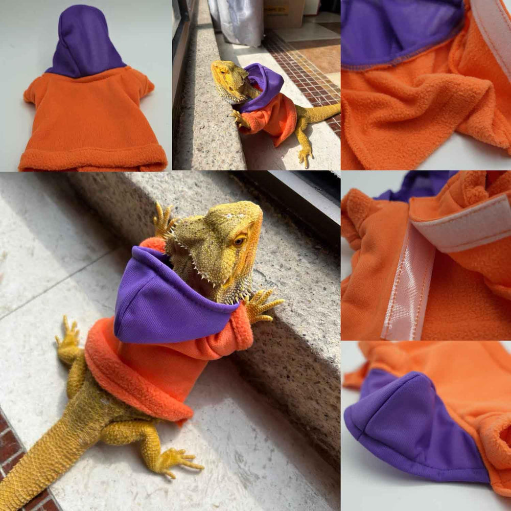 TTMIMIK sudadera con capucha para dragones barbudos, ajuste de capucha para clima interior