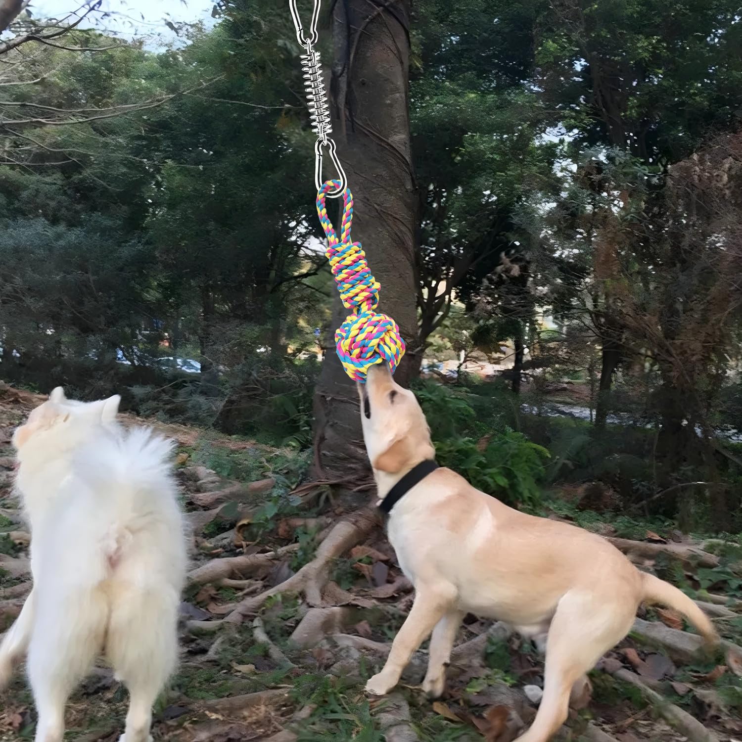 Juguete exterior para perros activos y curiosos con TUAHOO.