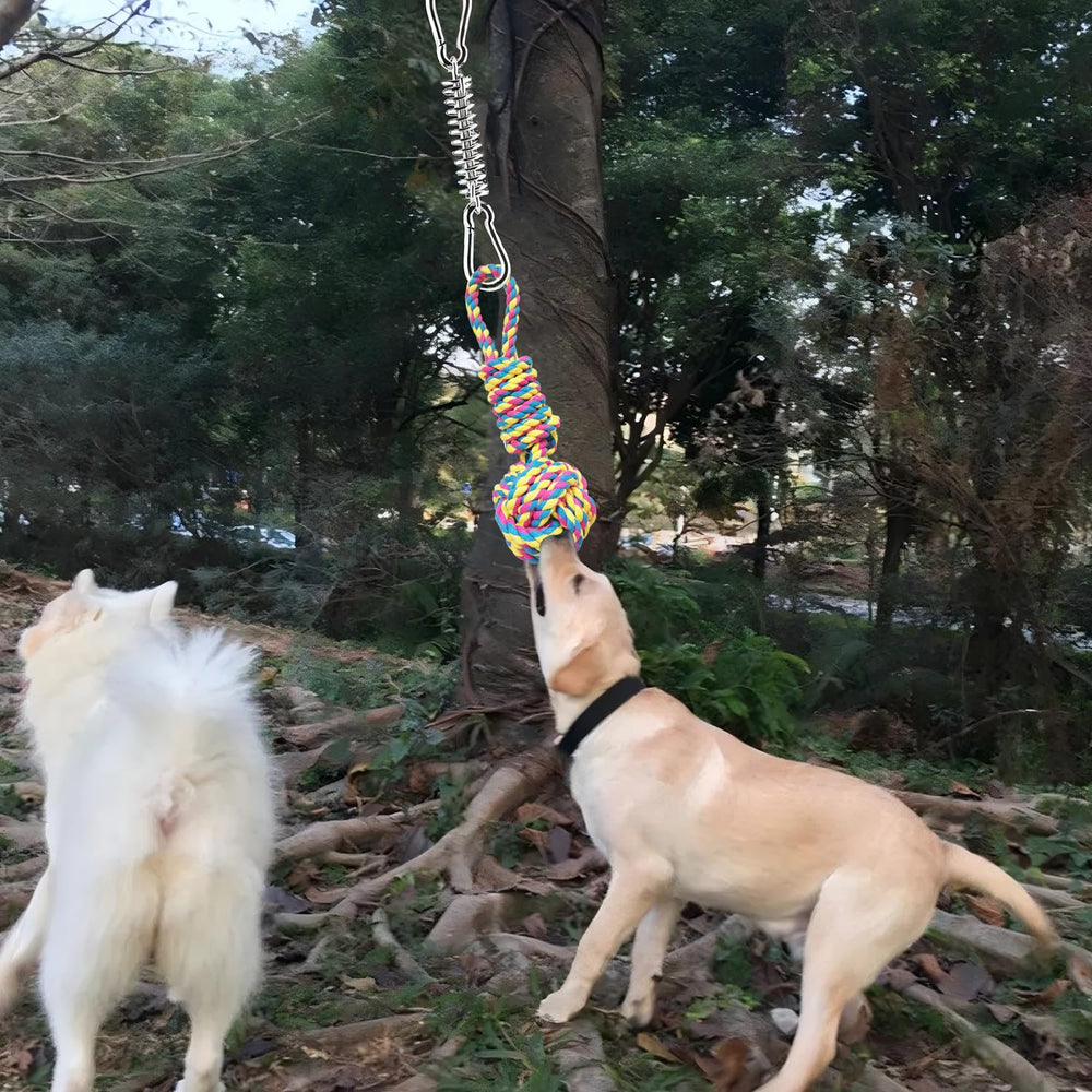 Juguete exterior para perros activos y curiosos con TUAHOO.