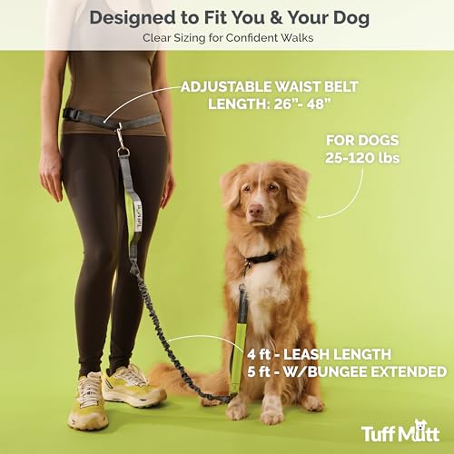 Tuff Mutt correa para perros medianos y grandes ideal para perros que tiran.