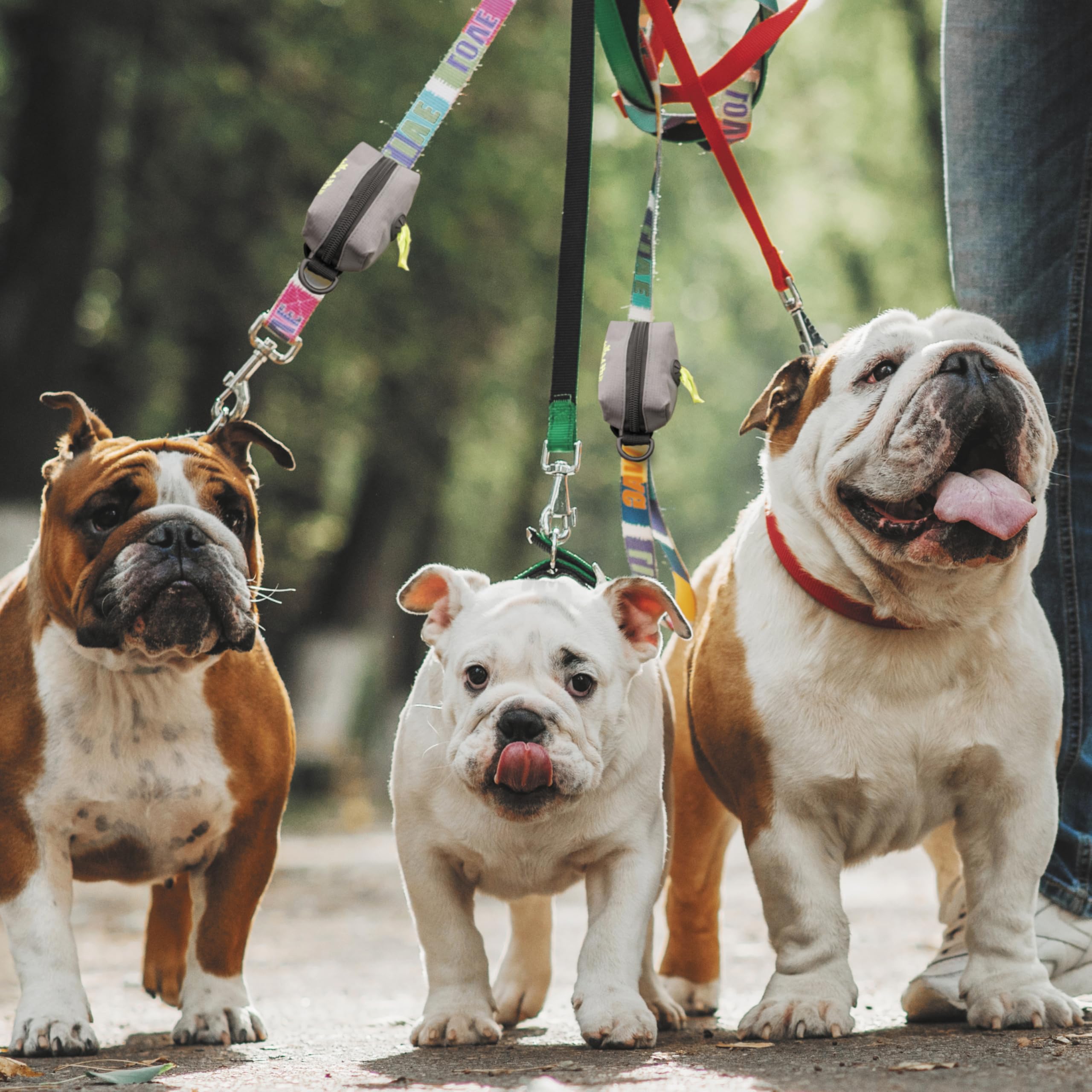 Tuff Mutt dispensador de bolsas compatible con correas.