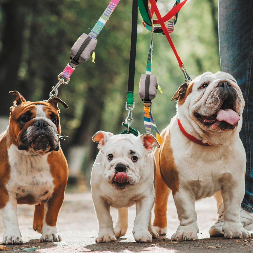 Tuff Mutt dispensador de bolsas compatible con correas.