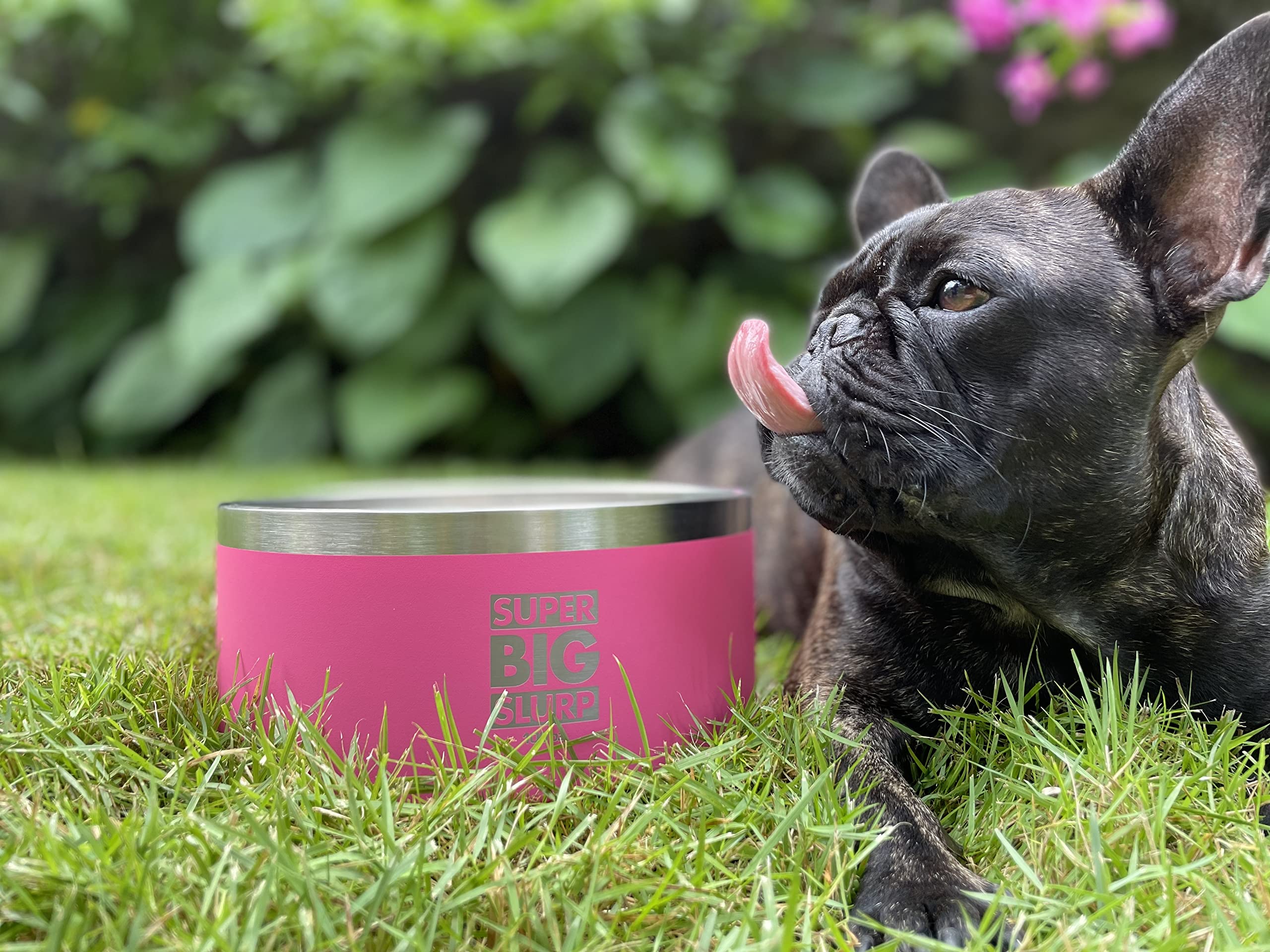Tuff Pupper 7 colores elegantes para combinar con la decoración