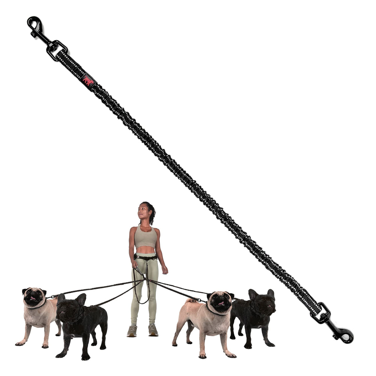 Accesorio bungee adicional de Tuff Pupper para perros medianos añade un perro extra en paseos.