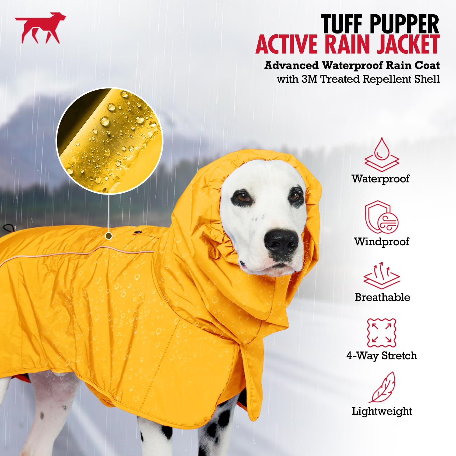 Capucha ajustable en chubasquero para perro, protección de cabeza