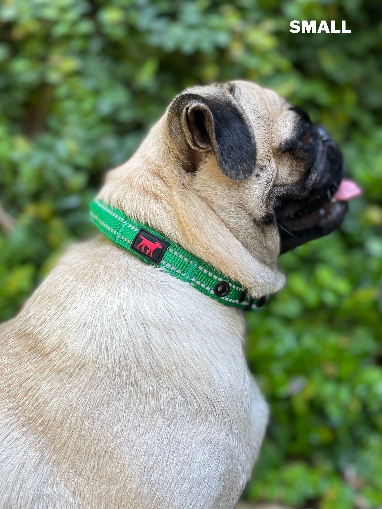 Tuff Pupper collar acero inoxidable: seguridad y durabilidad aseguradas.
