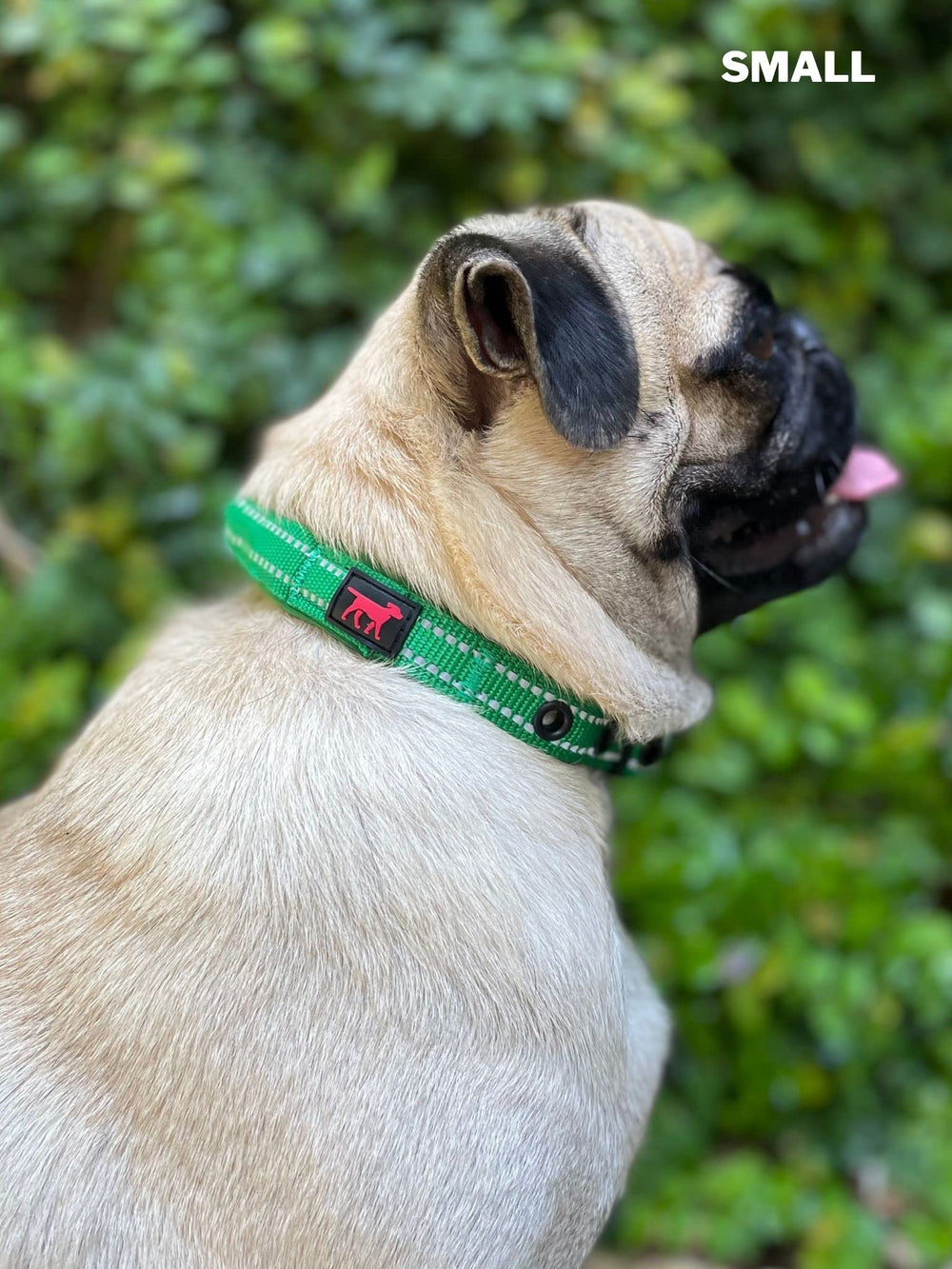 Tuff Pupper collar acero inoxidable: seguridad y durabilidad aseguradas.