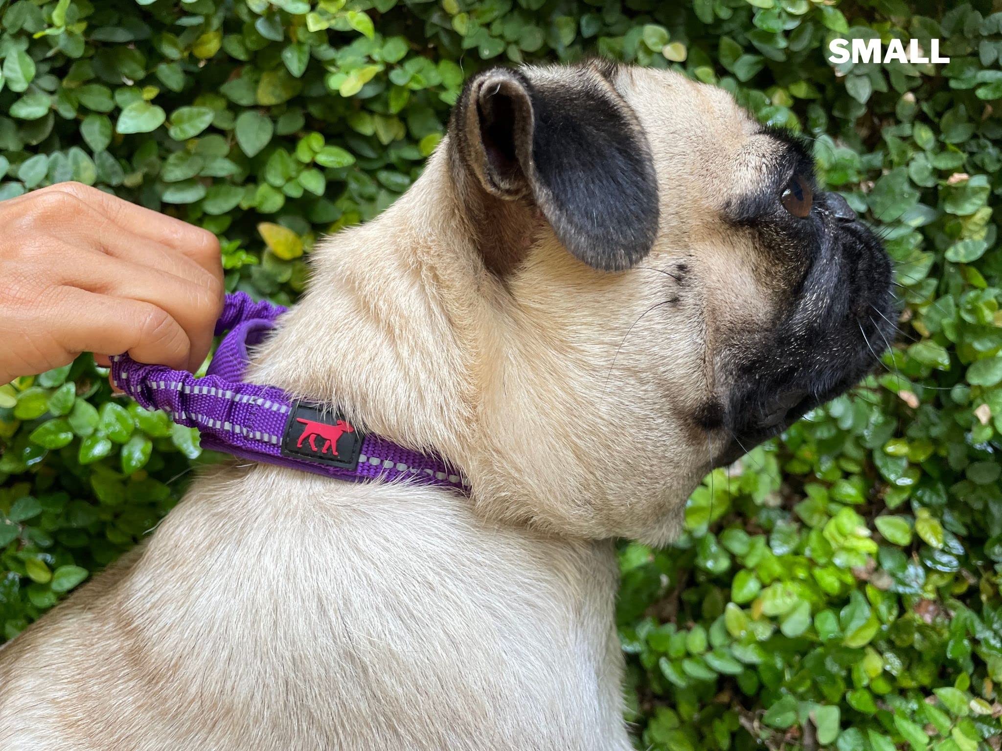 Collar Tuff Pupper con asa elástica para guiar con facilidad