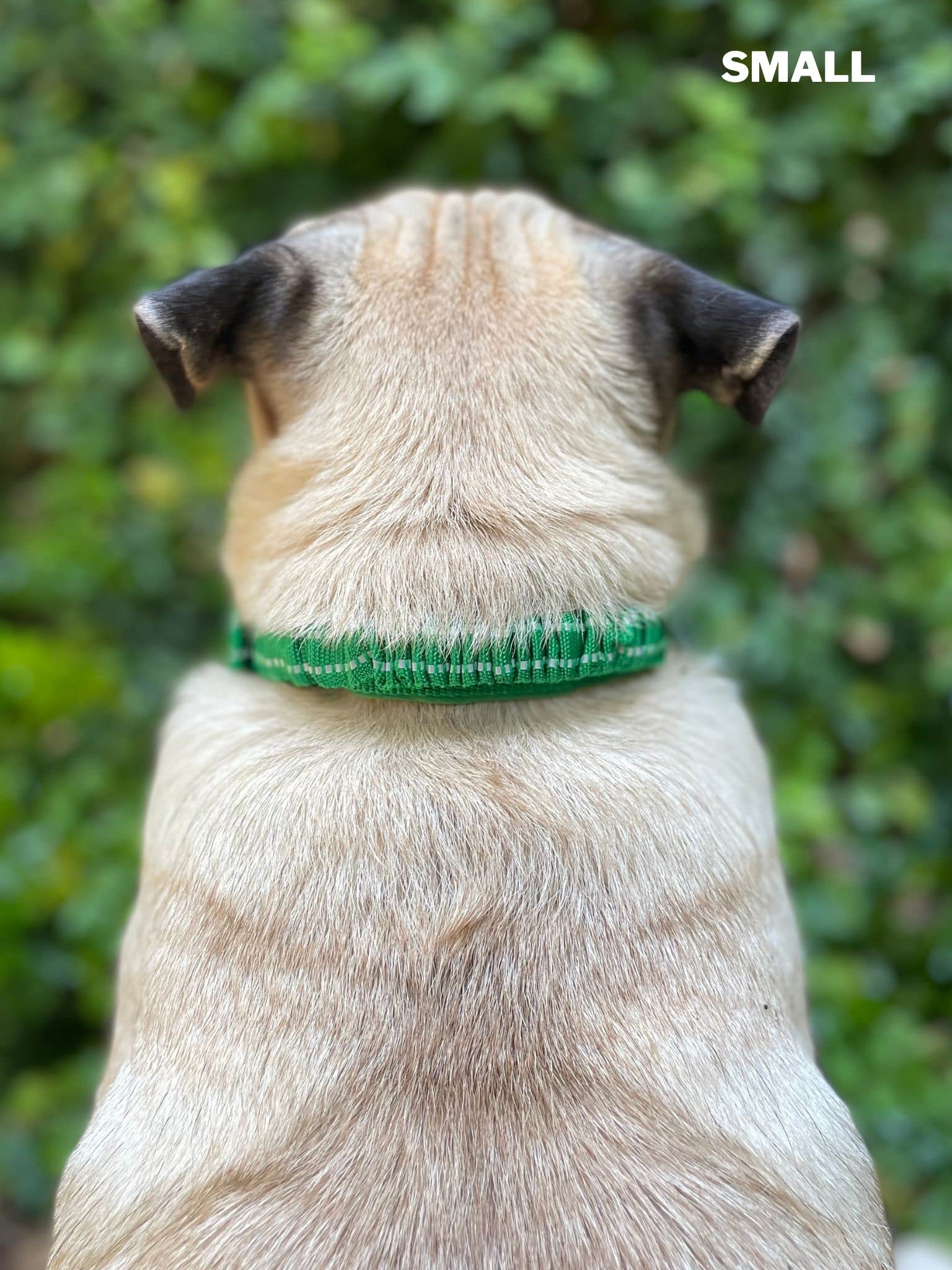 Tuff Pupper collar diseño confortable: uso diario sin irritación.
