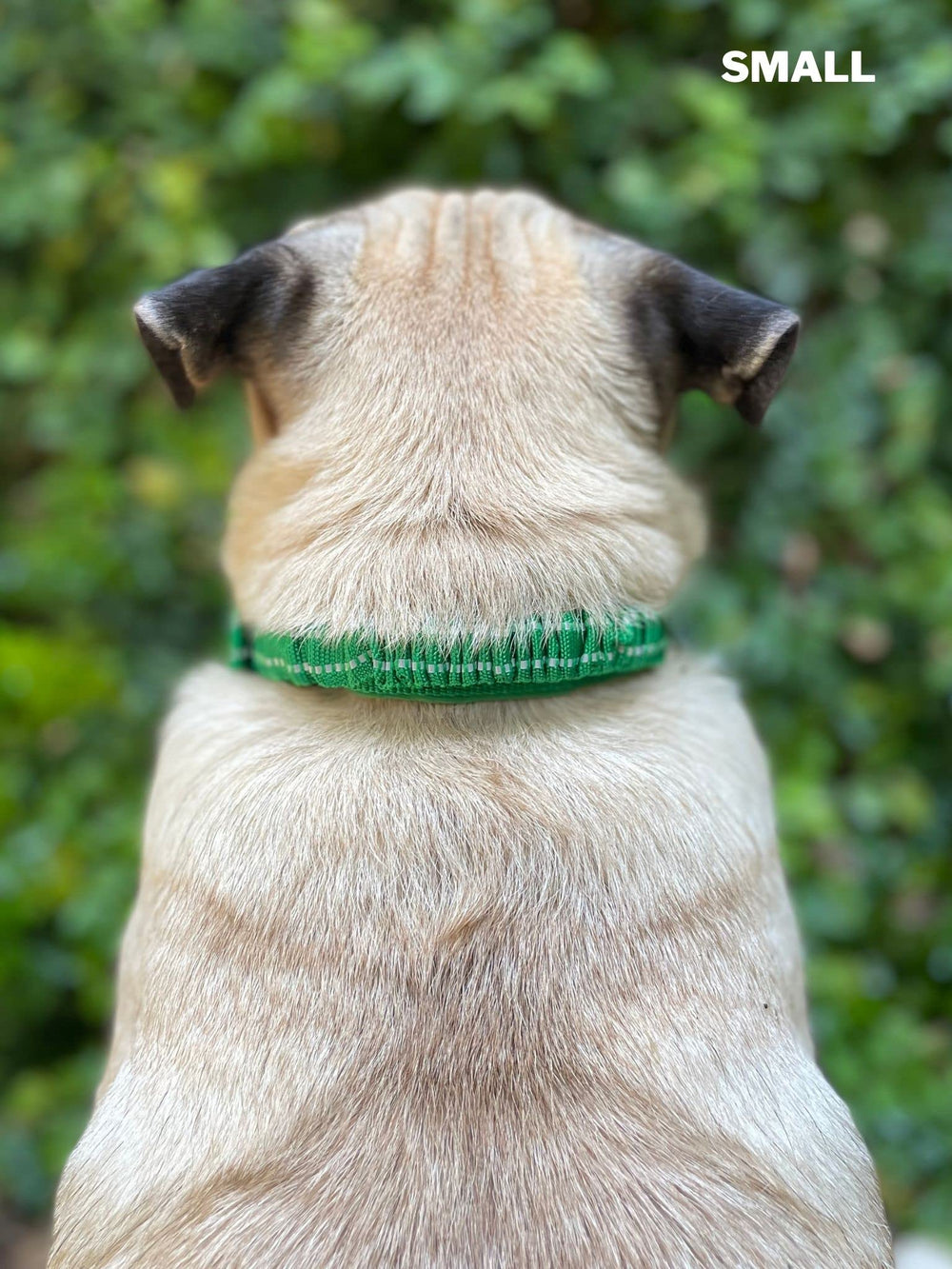 Tuff Pupper collar diseño confortable: uso diario sin irritación.
