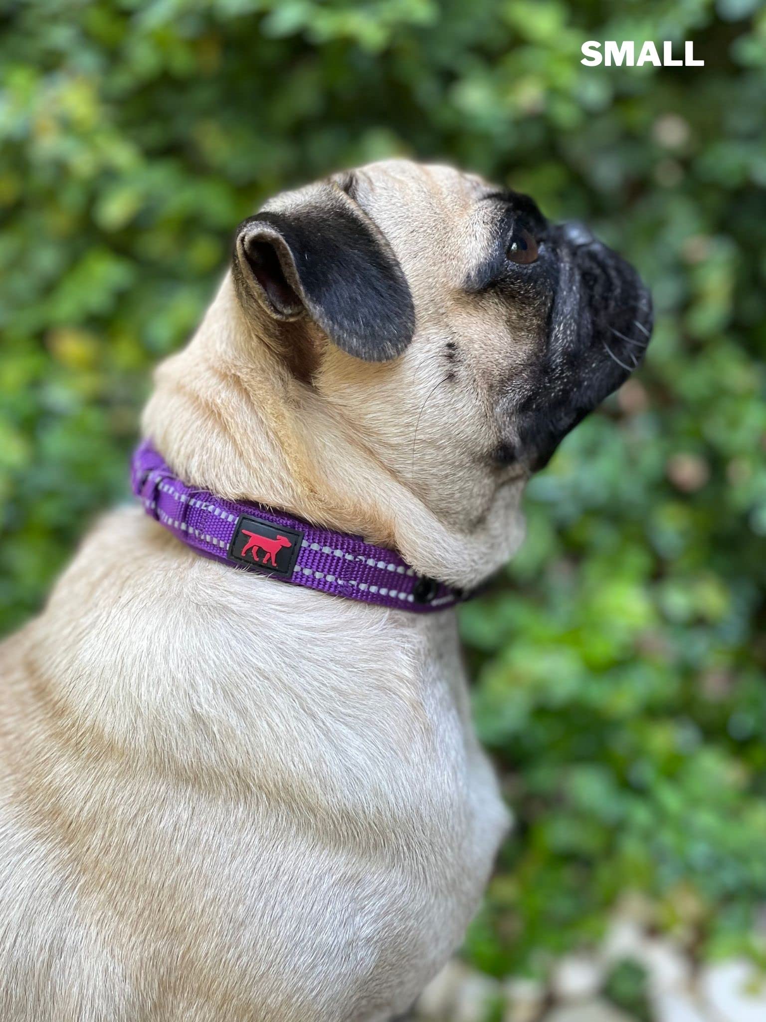 Diseño ergonómico de collar Tuff Pupper para perros activos