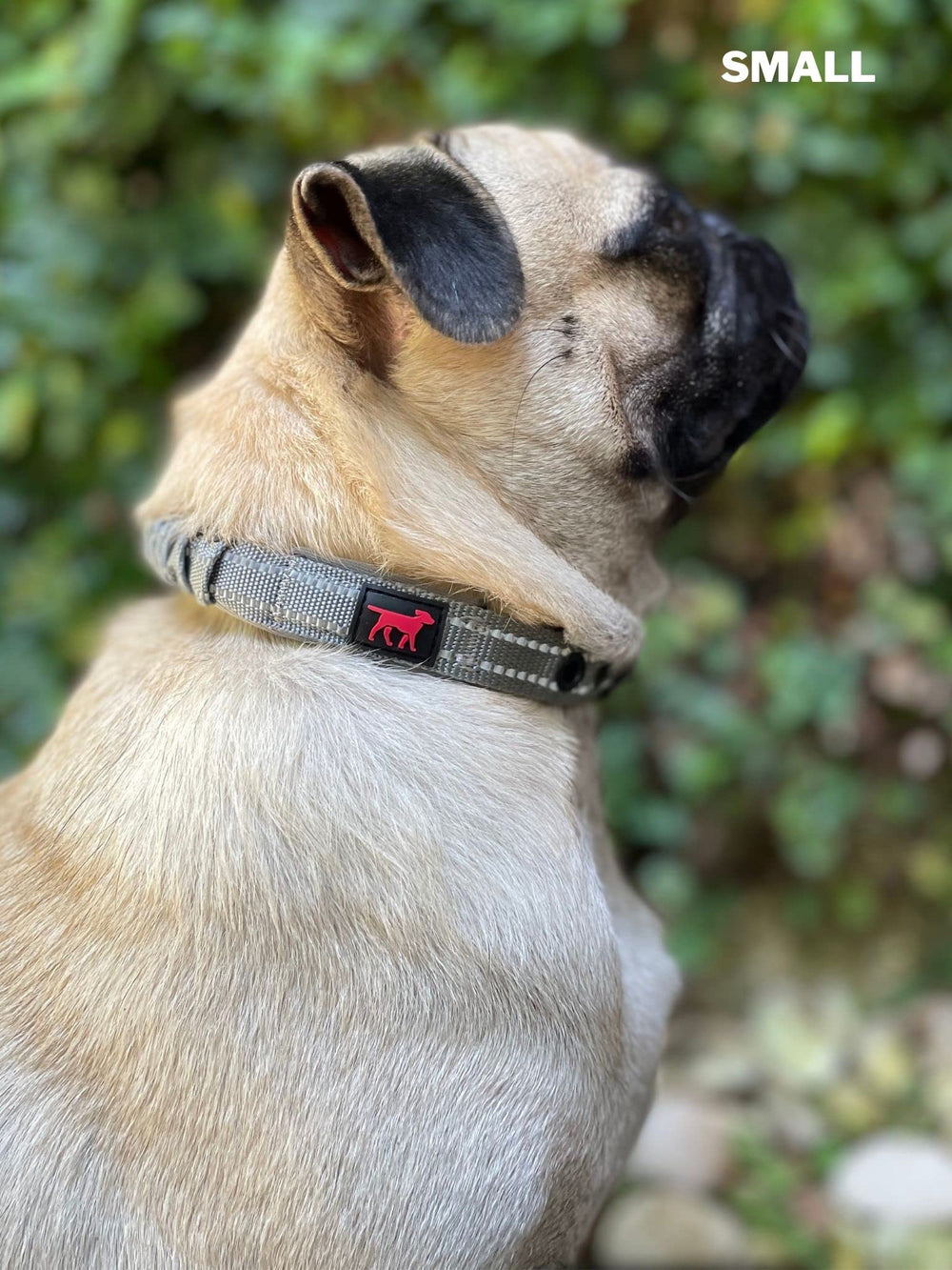Collar Tuff Pupper con diseño ergonómico para uso cómodo