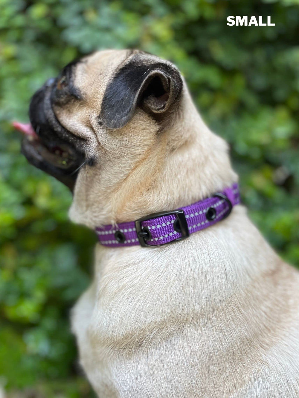 Collar Tuff Pupper: durabilidad y garantía de por vida