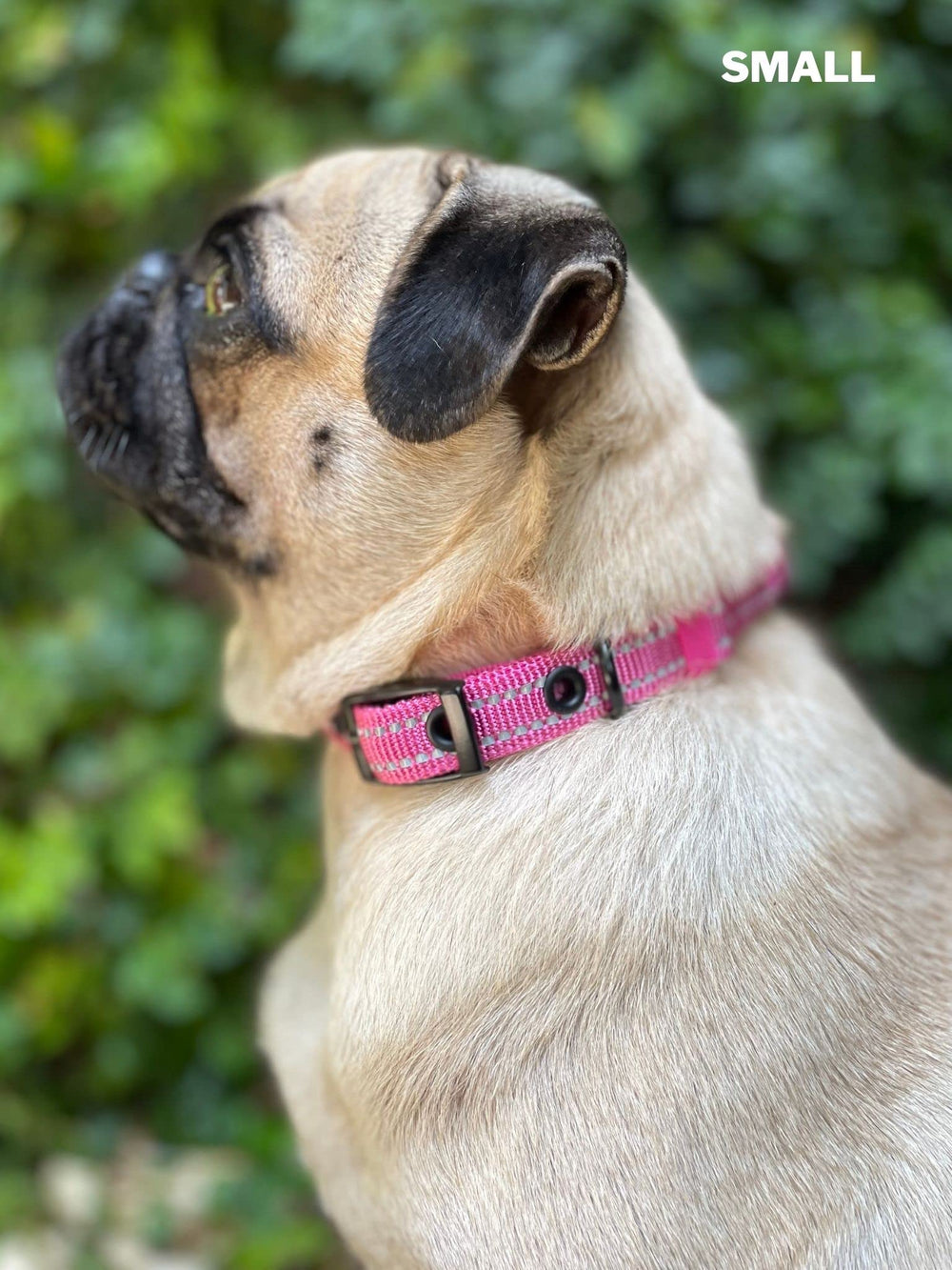 Tuff Pupper collar garantía de por vida: tranquilidad para dueños.
