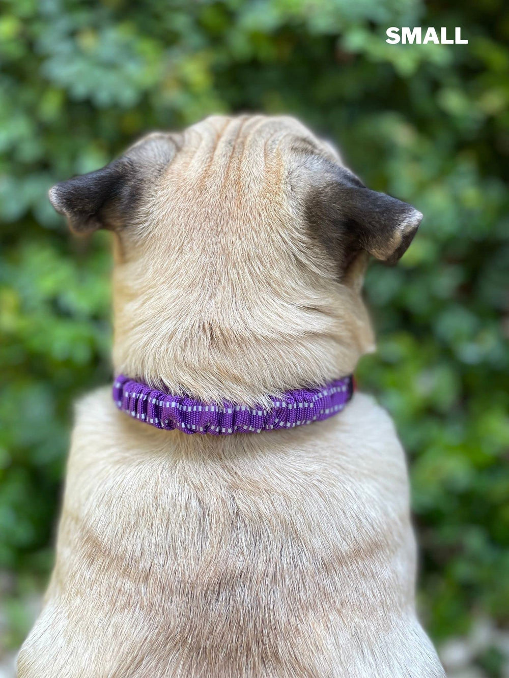 Hebilla de acero inoxidable en el collar Tuff Pupper para durabilidad