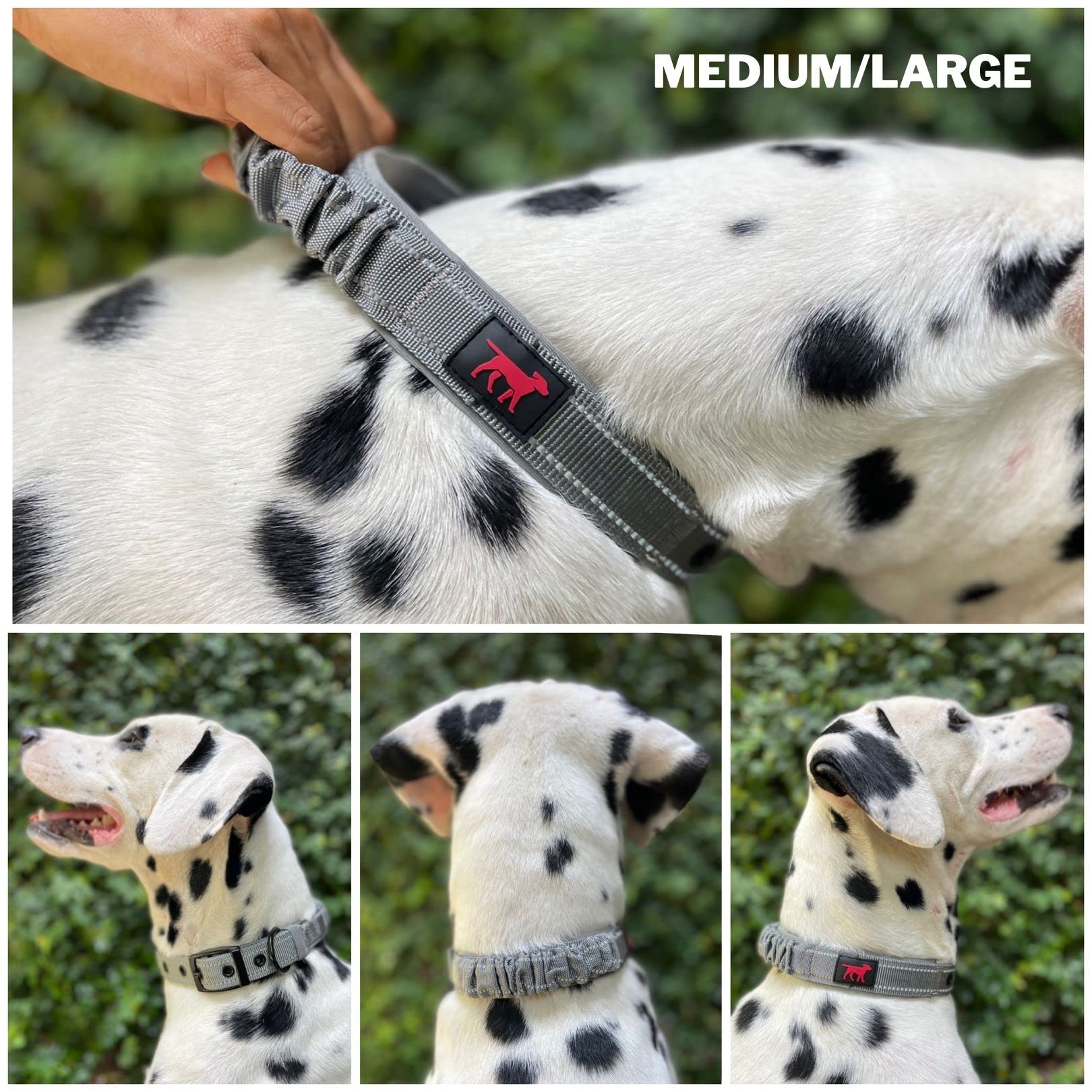 Hebilla de acero inoxidable Tuff Pupper para sujeción resistente y duradera
