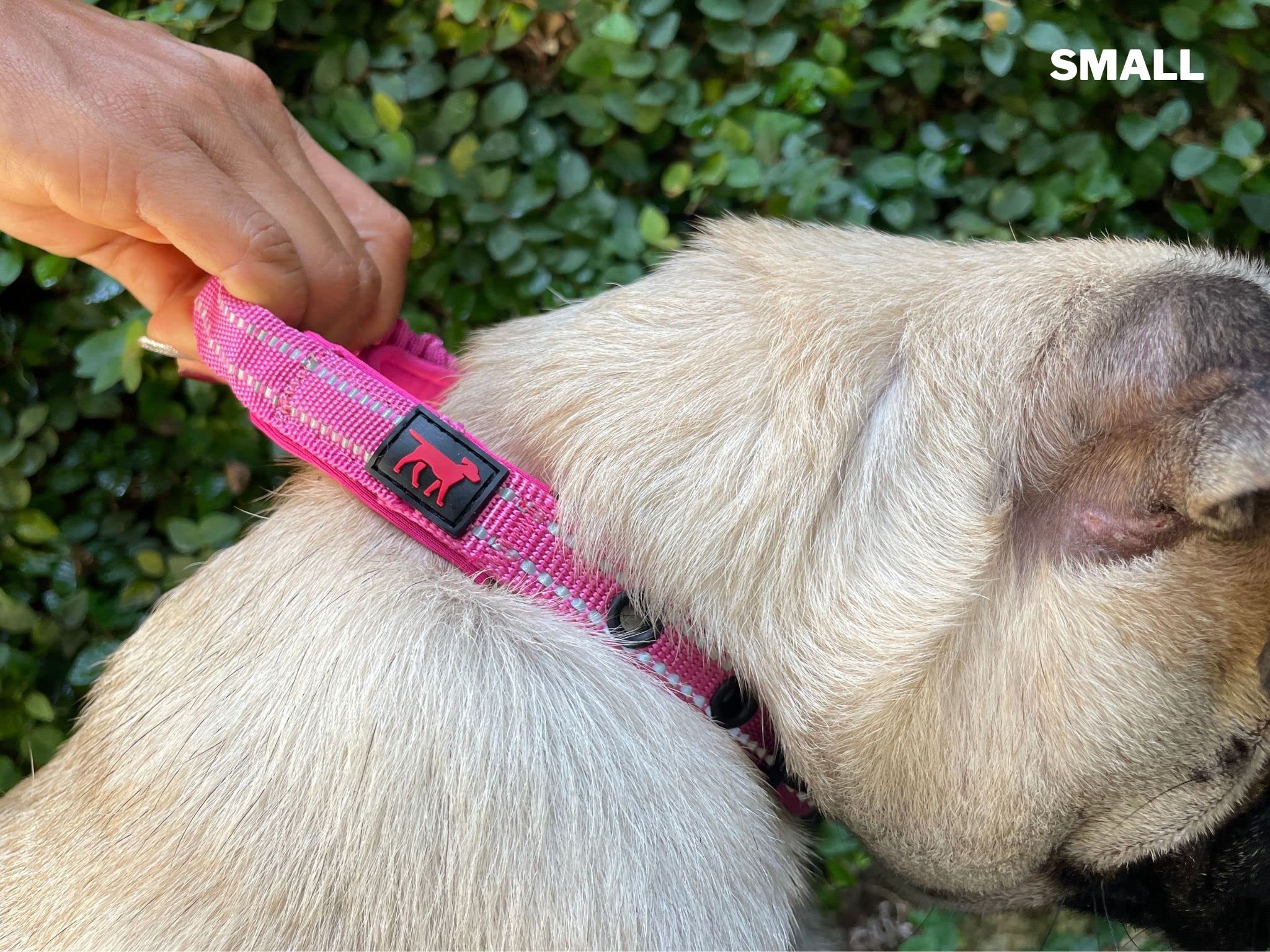 Tuff Pupper collar herrajes inoxidables: durabilidad en climas variados.