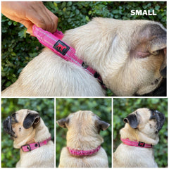 Tuff Pupper collar interior neopreno: comodidad y transpirabilidad durante actividad.
