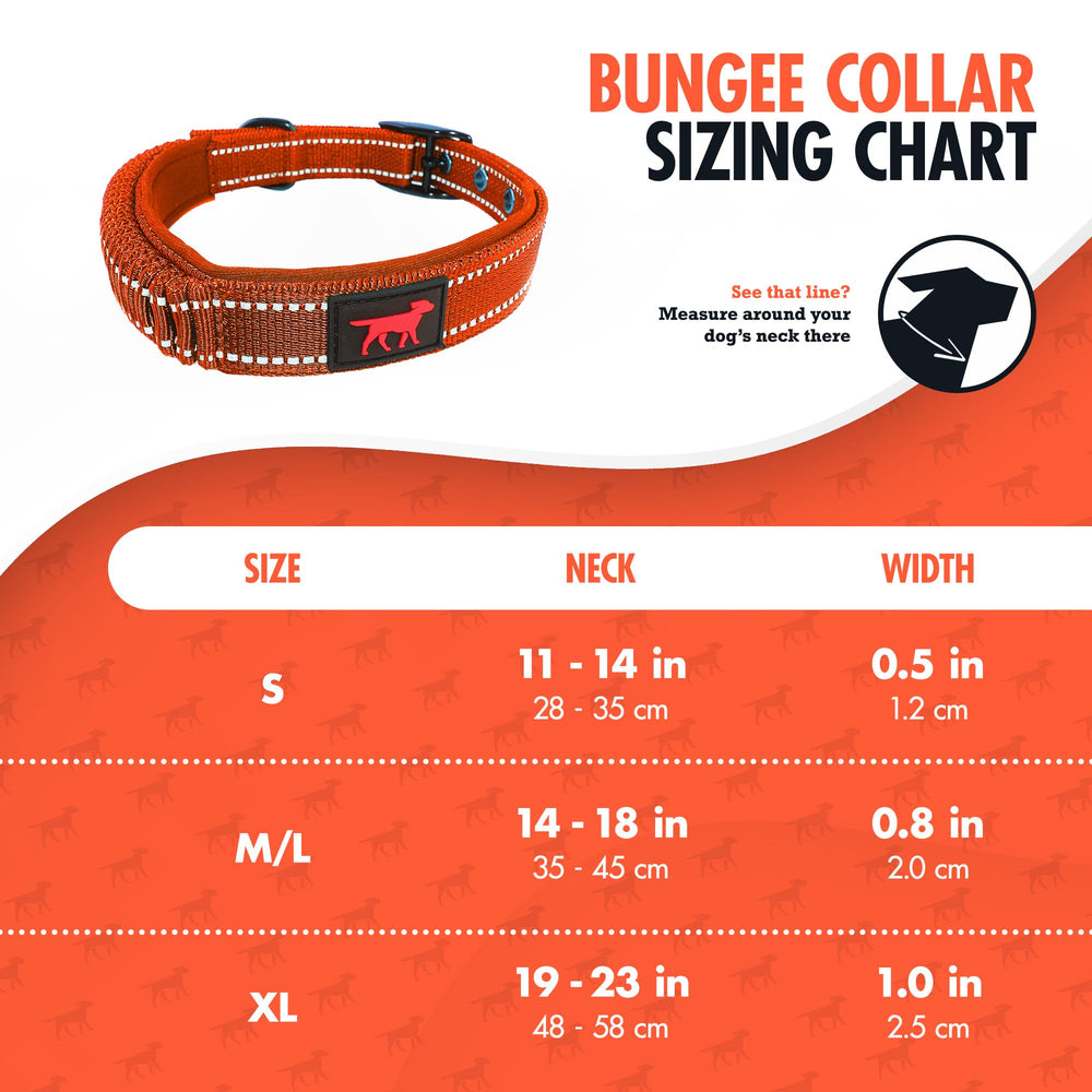 Collar con mango elástico integrado para control rápido en espacios concurridos.