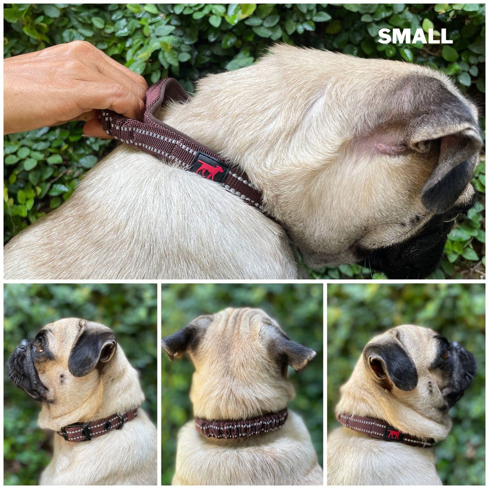 Mango de seguridad con bungee de Tuff Pupper, control rápido en espacios concurridos.