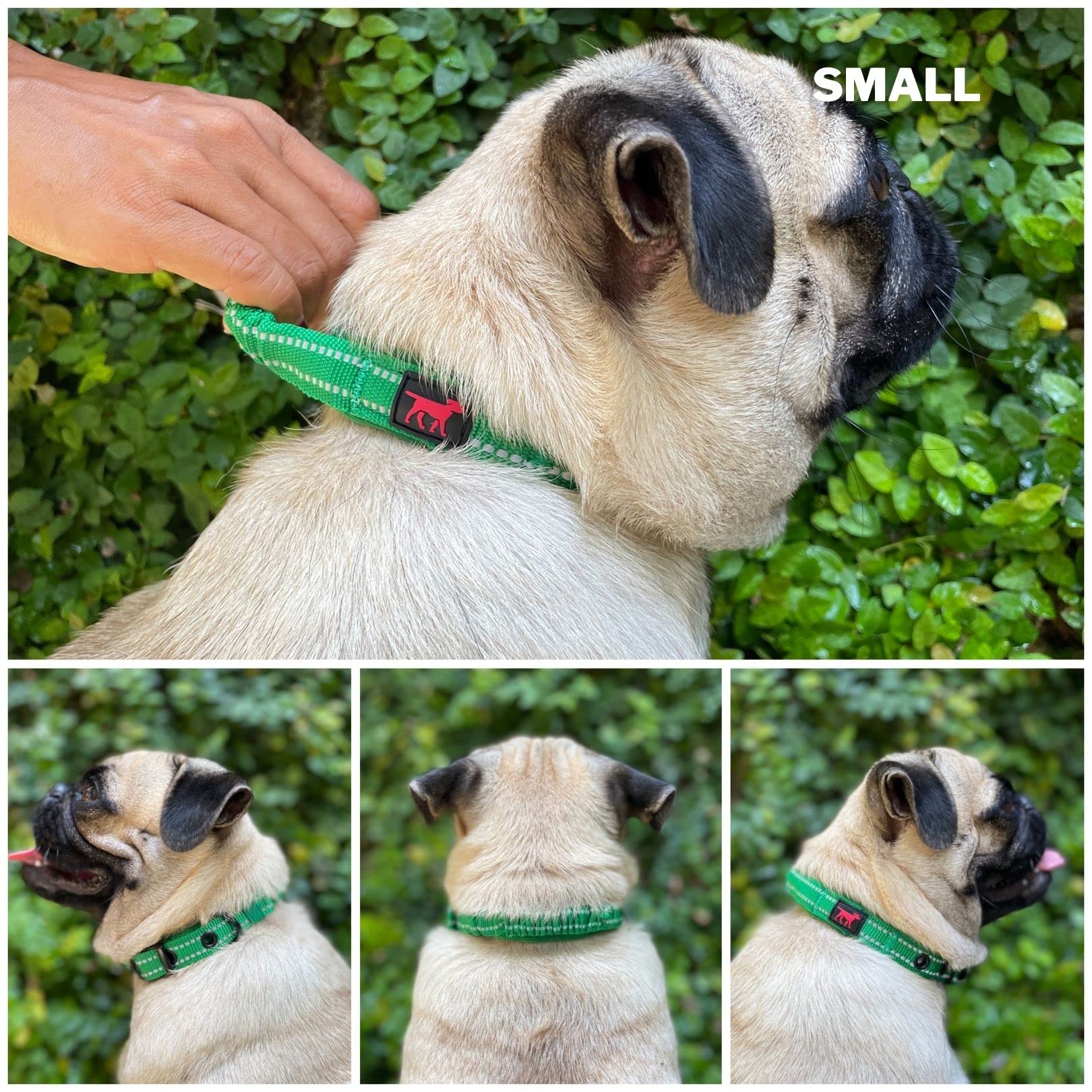 Tuff Pupper collar neopreno acolchado: comodidad durante actividades intensas.