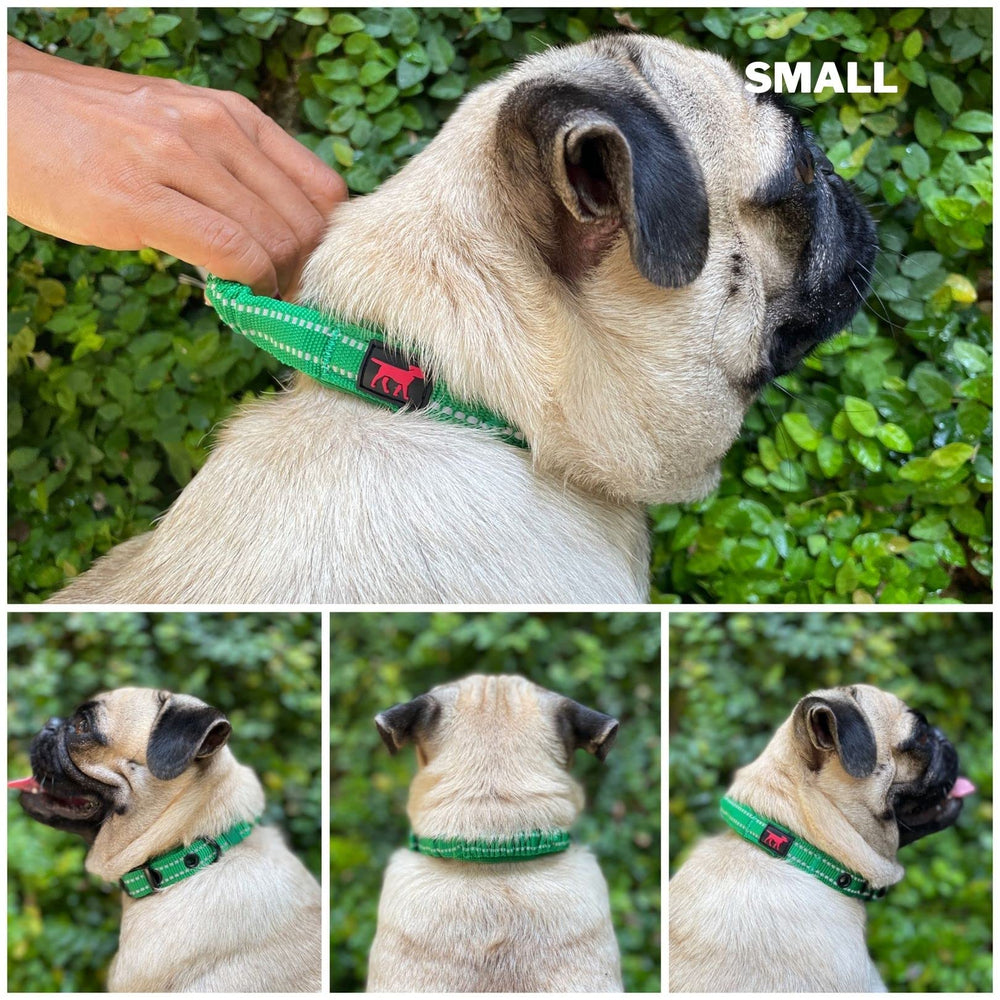 Tuff Pupper collar neopreno acolchado: comodidad durante actividades intensas.