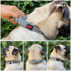 Collar Tuff Pupper con revestimiento de neopreno suave para mayor confort